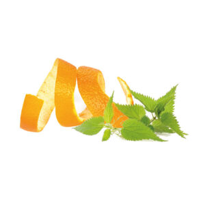 tisana funzionale in filtro più snell sandemetrio