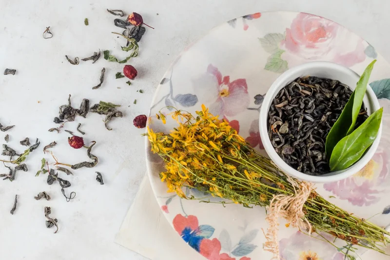 healthy food sandemetrio